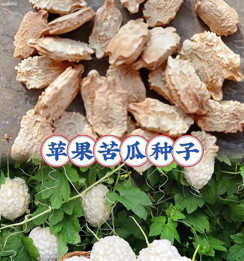 如何种植苹果籽成功栽培自己的苹果树（从苹果中提取籽到培育出苹果树的全过程）-第2张图片-绿意生活