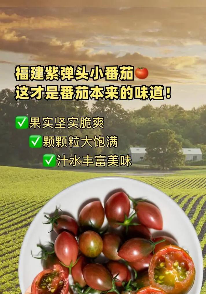 如何挑选美味圣女果（科学技巧教你选到甜度高的圣女果）-第1张图片-绿意生活