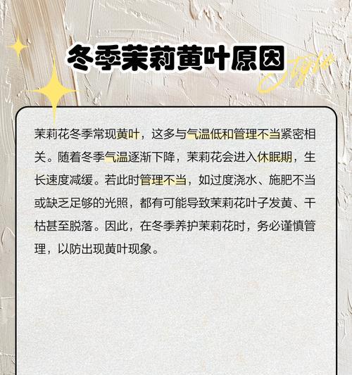 茉莉新叶子发黄怎么办？（解决茉莉新叶子发黄的方法与技巧）-第3张图片-绿意生活