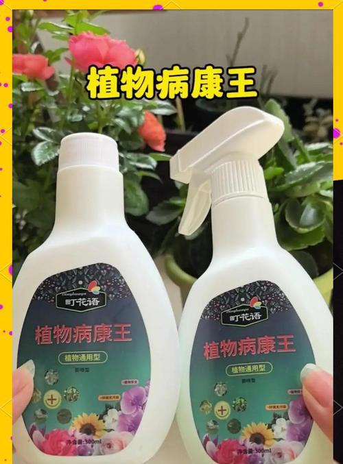 保护健康，预防生病——以月季为例（月季花的养护和健康，让您远离疾病）-第3张图片-绿意生活