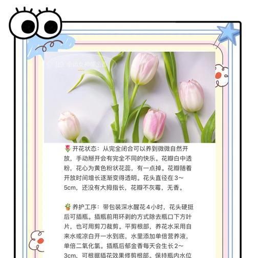 郁金香只长出一张叶子的原因解析（郁金香单叶现象及其影响）-第2张图片-绿意生活