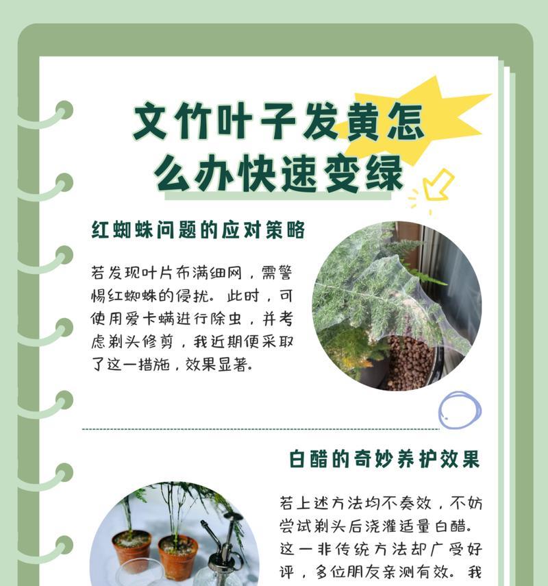 树叶又多又黄的原因及解决方法（揭秘多黄叶树木背后的隐情，了解保护植物健康的正确方式）-第1张图片-绿意生活
