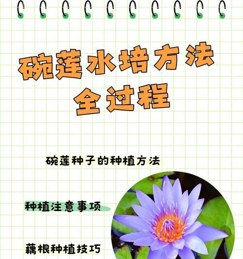 以碗莲种子怎么泡，从种植到开花，分享成功经验（碗莲种子的泡种方法及注意事项）-第1张图片-绿意生活
