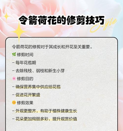 以令箭夏天怎么养（全面指南）-第1张图片-绿意生活