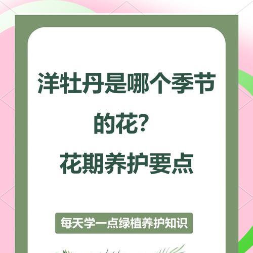 如何成功种植牡丹？（掌握牡丹栽种的方法和注意事项，打造美丽园林）-第3张图片-绿意生活