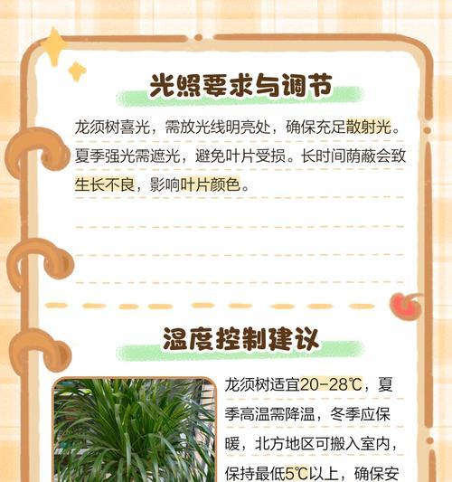 龙须树换盆后的浇水技巧（让龙须树健康成长的小秘密）-第3张图片-绿意生活