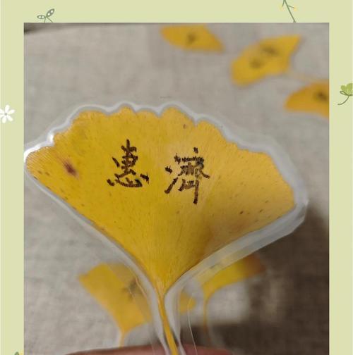 如何成功繁殖银杏树（银杏树繁殖方法及关键要素）-第3张图片-绿意生活