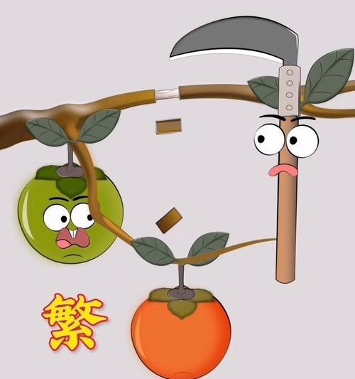 怎样繁殖和养护柿子树？（方法和注意事项）-第1张图片-绿意生活