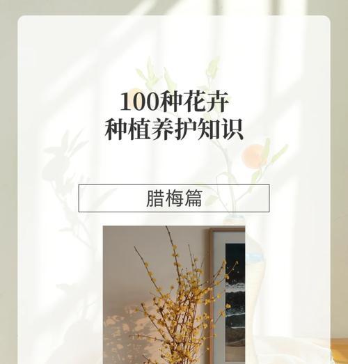如何种植腊梅种子（腊梅种子种植指南及注意事项）-第1张图片-绿意生活