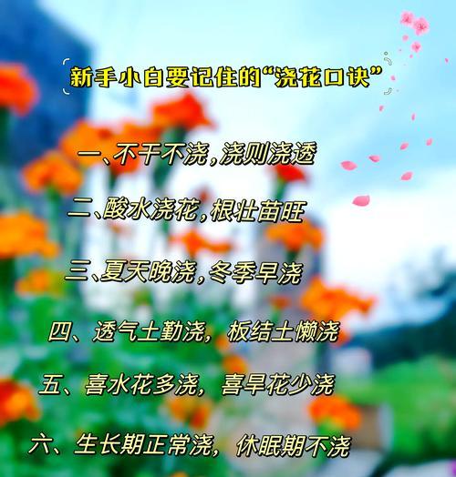 母乳浇花的好处和坏处（正确使用母乳为花草浇水，让生命之泉滋润植物）-第1张图片-绿意生活