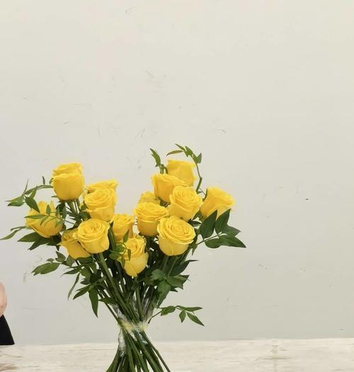 剪枝后的玫瑰，如何打理成盛开花朵（关键步骤与养护技巧，让玫瑰焕发绚丽的生机）-第1张图片-绿意生活