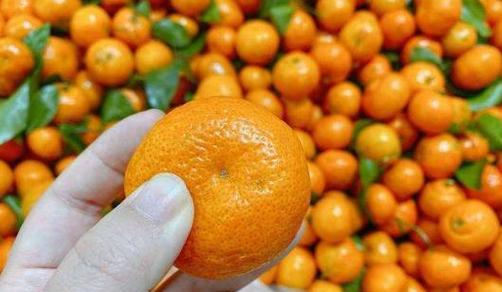 桔黄病治疗无效的应对方法（探索有效治疗桔黄病的新途径）-第2张图片-绿意生活