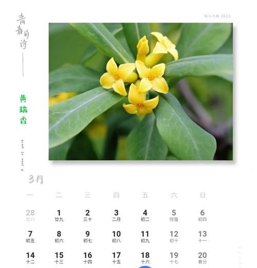 瑞香叶子发黄的原因及处理方法（瑞香植株叶子发黄可能是由于养护不当引起的）-第3张图片-绿意生活
