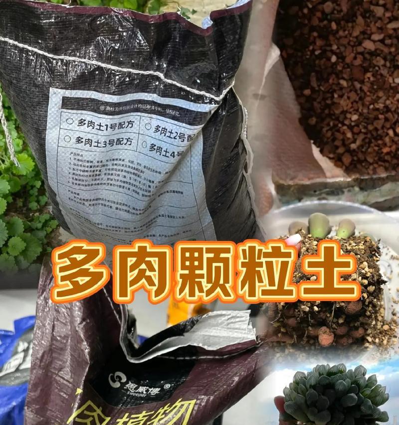 以木炭灰怎么处理种多肉配土（木炭灰在多肉配土中的应用与效果）-第3张图片-绿意生活