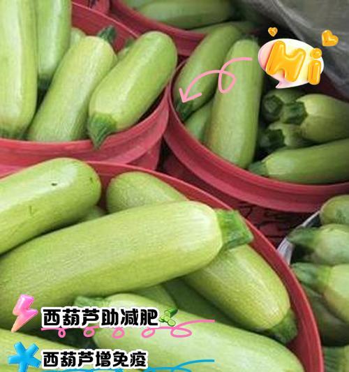 以西葫芦种植指南（浇水技巧及种植关键）-第3张图片-绿意生活