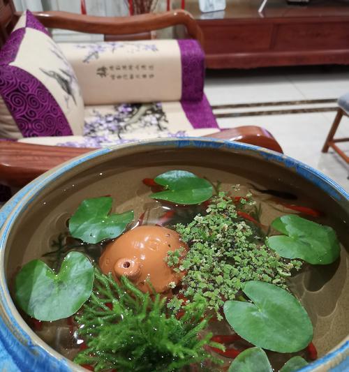 水生花卉盆栽创业指南（创业者必读的水生花卉盆栽种植与销售秘籍）-第3张图片-绿意生活