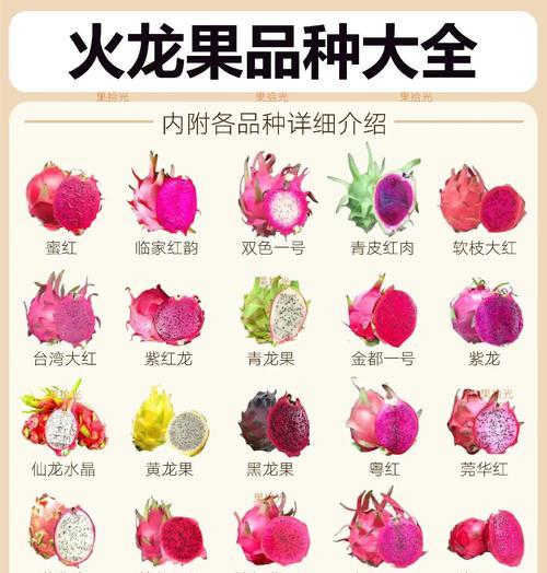火龙果（解析火龙果的营养成分与功效）-第2张图片-绿意生活