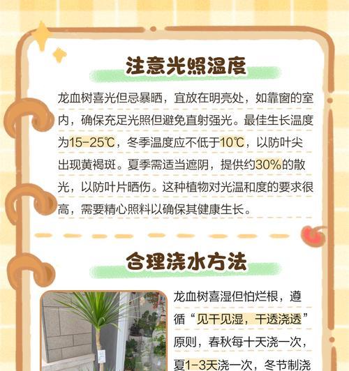 活龙血树的养殖技巧（打造绿意盎然的居家花园）-第2张图片-绿意生活