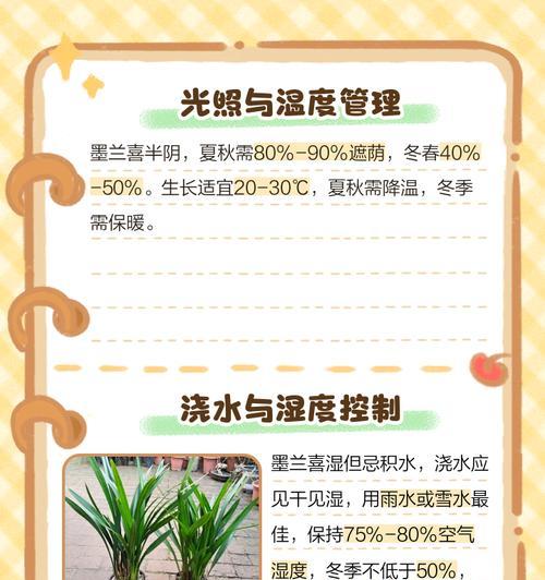 墨兰花期管理要点（打造优美花坛，赏墨兰花海）-第1张图片-绿意生活
