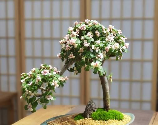 金枝玉叶叶插的方法与技巧（提高成活率，让你轻松实现绿植繁殖）-第3张图片-绿意生活