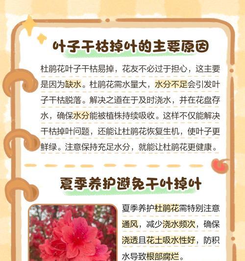 杜鹃夏天叶子上有斑点，如何治疗？（解决杜鹃夏季斑点问题的方法和注意事项）-第3张图片-绿意生活
