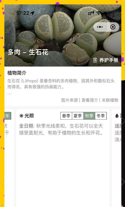 如何判断石生花是否化水（掌握关键诀窍，辨别真假石生花）-第2张图片-绿意生活