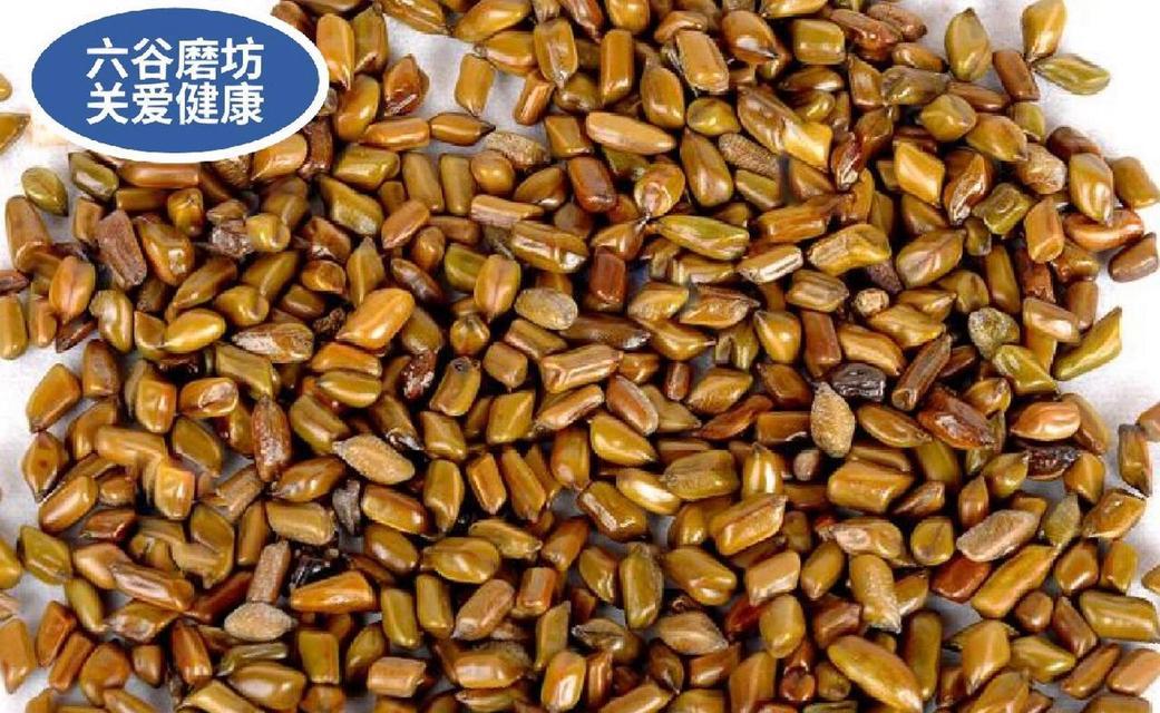 决明子（探寻决明子的生长习性与药用价值）-第2张图片-绿意生活