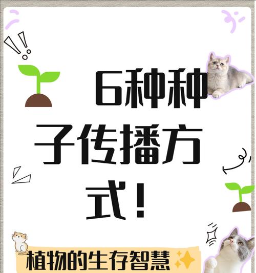 如何分辨种子是否能够成功发芽生长（鉴别种子发芽能力的方法及关键因素）-第1张图片-绿意生活