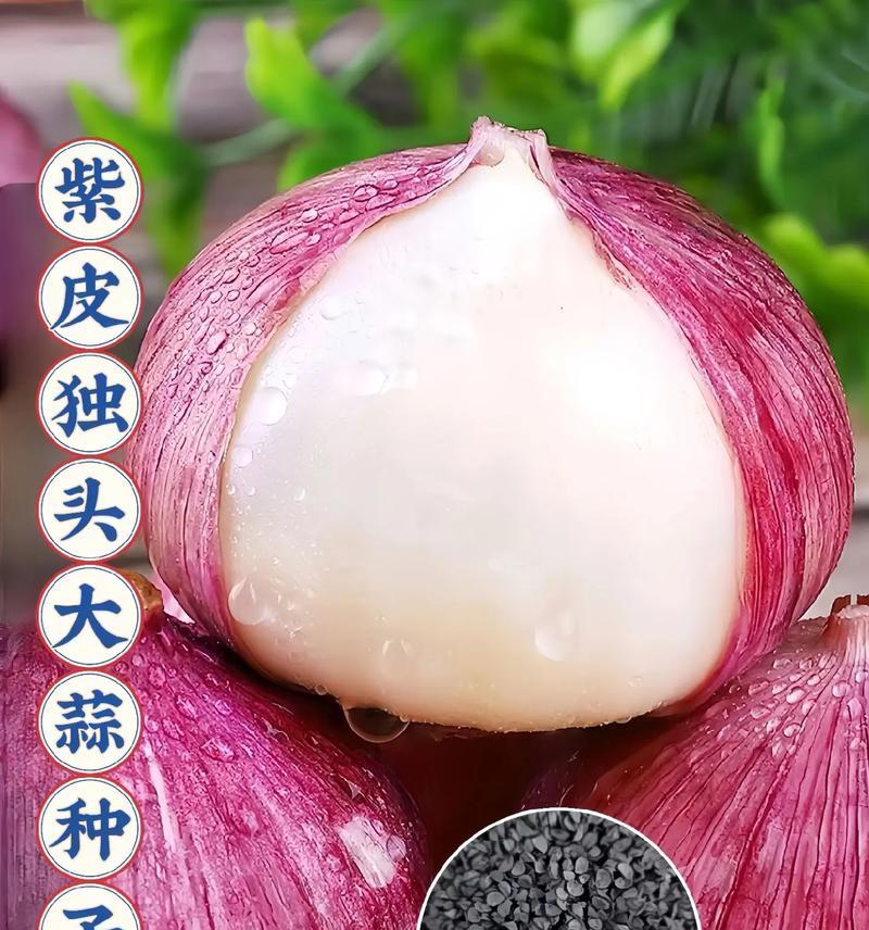 如何分辨种子是否能够成功发芽生长（鉴别种子发芽能力的方法及关键因素）-第2张图片-绿意生活