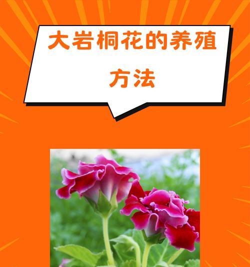 如何处理大岩桐烂根问题（有效措施保护大岩桐的生存）-第1张图片-绿意生活