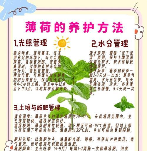 夏季盆景养护技巧之保湿秘籍（室内盆景保湿要点与技巧）-第1张图片-绿意生活