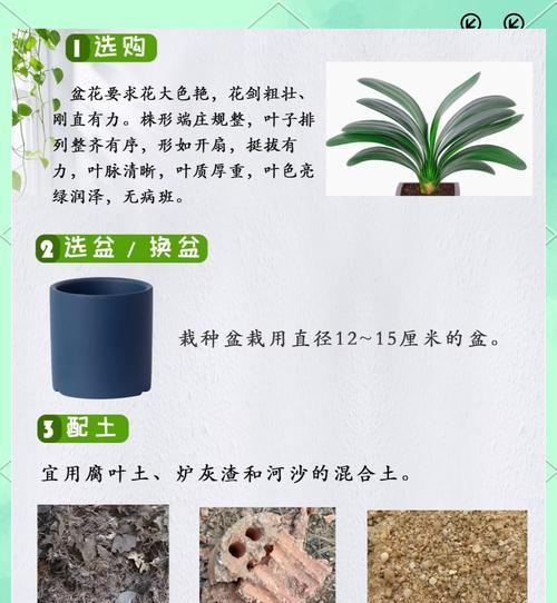 解决君子兰浇水后的臭味问题（臭味来源及处理方法）-第3张图片-绿意生活