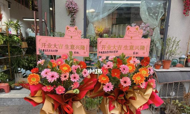 非洲菊花的养护秘籍（掌握关键技巧，打造绚丽多彩的花园）-第3张图片-绿意生活