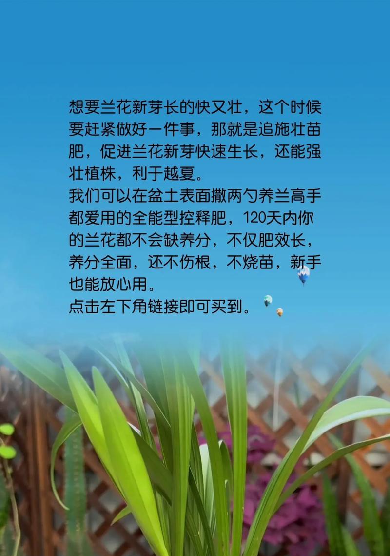 正确养护以兰草，让其健康茁壮（关键步骤、技巧和注意事项，全面指南帮助您培育美丽的以兰草）-第3张图片-绿意生活