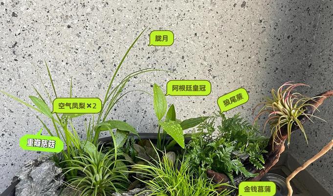 正确掌握播种时机与方法，让你的菜园丰收满满！（种什么？何时种？如何种？菜园知识大揭秘！）-第1张图片-绿意生活