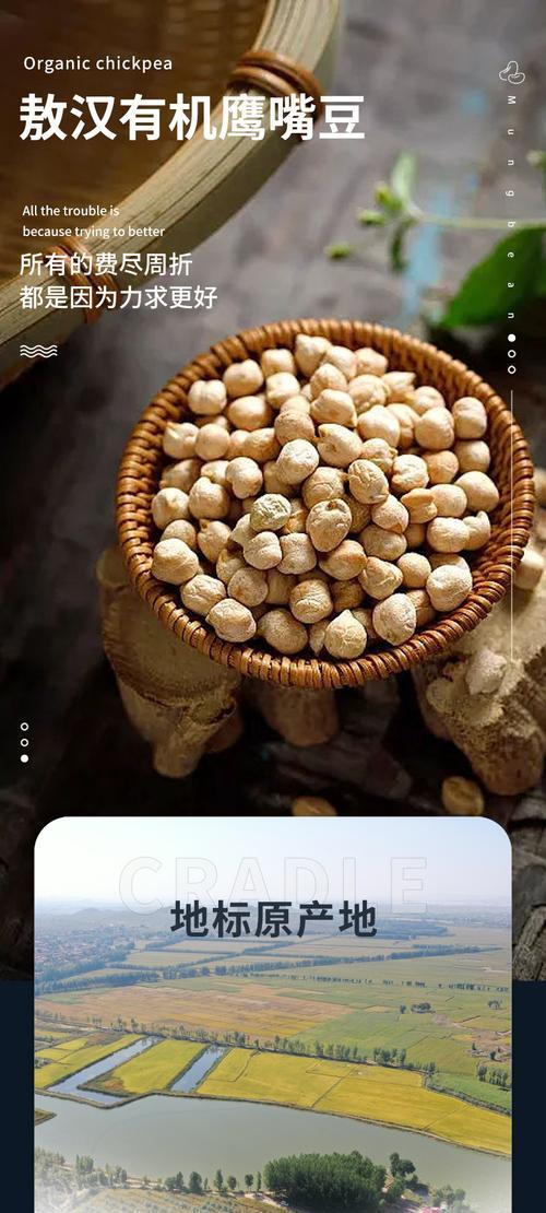 内蒙古农业（揭秘内蒙古大豆种植的历史、现状和前景）-第1张图片-绿意生活