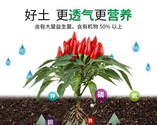 以虎皮兰复合肥的正确使用方法（让您的虎皮兰茁壮成长，繁花似锦）-第1张图片-绿意生活