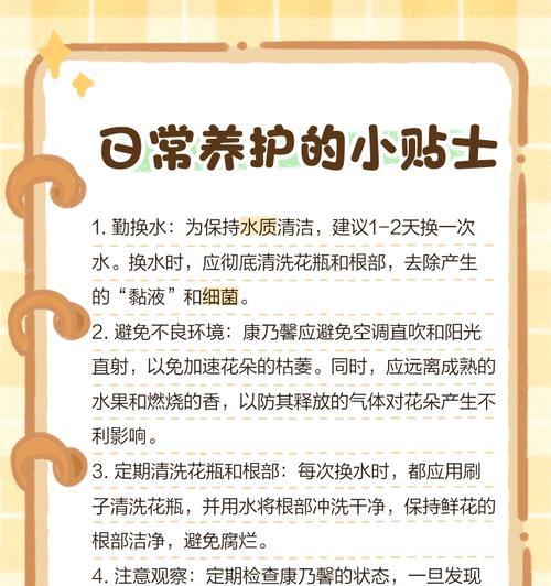 康乃馨的浇水时间及正确方法（喜爱康乃馨，从浇水开始/如何做到康乃馨浇水科学化）-第2张图片-绿意生活