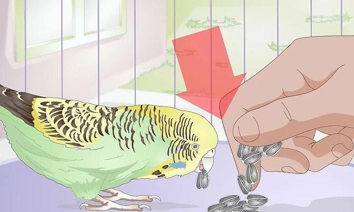如何帮助黄红眼鹦鹉摆脱便秘的困扰（全面了解黄红眼鹦鹉便秘的原因及解决方法）-第2张图片-绿意生活