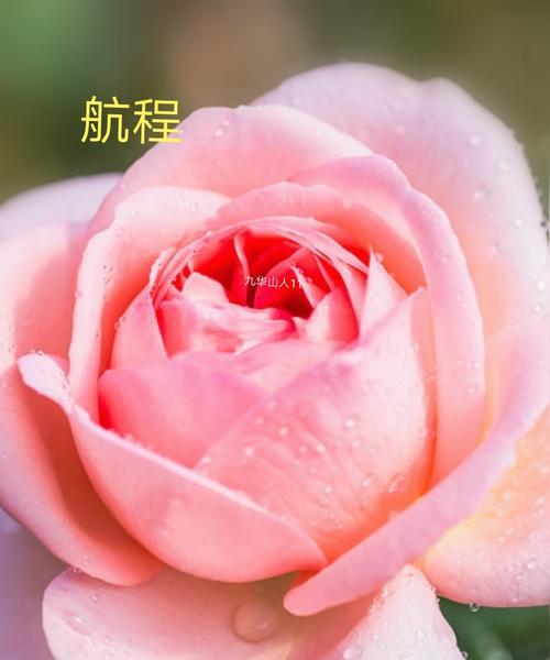 耐冬施肥技巧详解（为冬季作物量身定制的肥料配方）-第1张图片-绿意生活