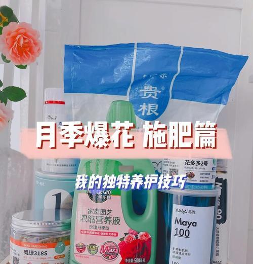 十一月份月季施肥指南（打造美丽花园的秘诀，十一月份月季施肥攻略）-第1张图片-绿意生活