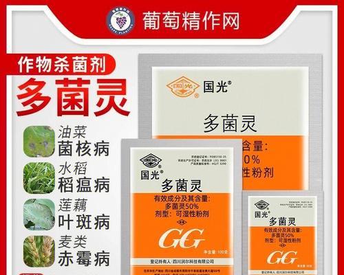 黄杨叶斑病的治疗与防控（掌握关键方法，保护黄杨健康）-第3张图片-绿意生活