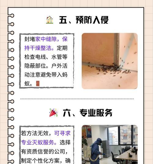 花盆中发现蚂蚁，如何处理？（应对花盆蚂蚁侵扰，提供有效解决方案）-第1张图片-绿意生活