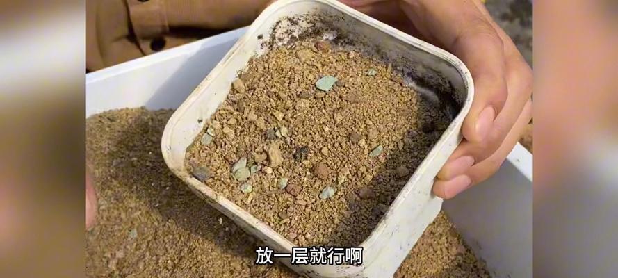 多肉植物土壤消毒的方法与注意事项（保护多肉植物生长的关键——土壤消毒）-第1张图片-绿意生活