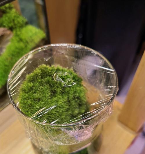 培育以苔藓为主的榕树盆景（苔藓之美，榕树之灵——打造独特而生机勃勃的盆景艺术）-第1张图片-绿意生活