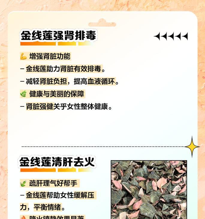 新鲜金线莲的养殖技巧（打造美丽花园，从金线莲开始）-第3张图片-绿意生活