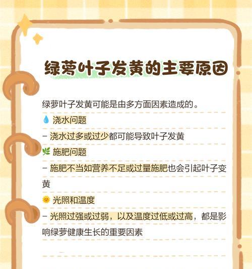 绿萝发光的方法与原理解析（探索绿萝发光的神秘之处）-第2张图片-绿意生活