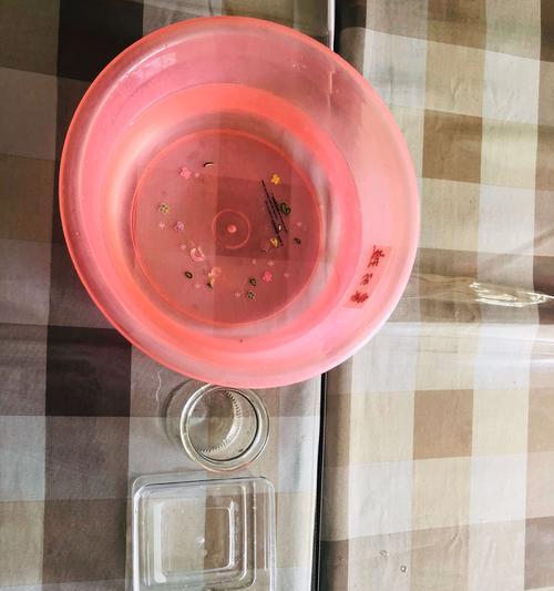 悬挂花盆的水处理技巧（保持花盆水质清洁与养护的关键方法）-第2张图片-绿意生活