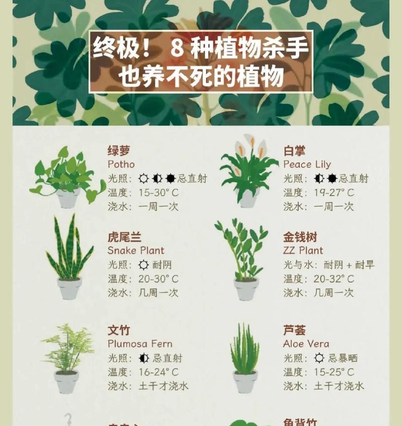 禄萝的培育及注意事项（以禄萝为主题，探索如何成功培育这种美丽的植物）-第1张图片-绿意生活