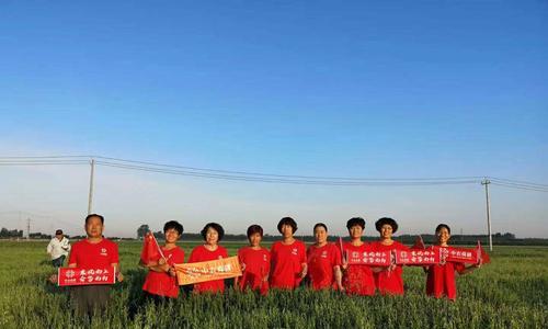 内蒙古燕麦收割季节探究（探寻内蒙古燕麦成熟期和收割时间）-第3张图片-绿意生活